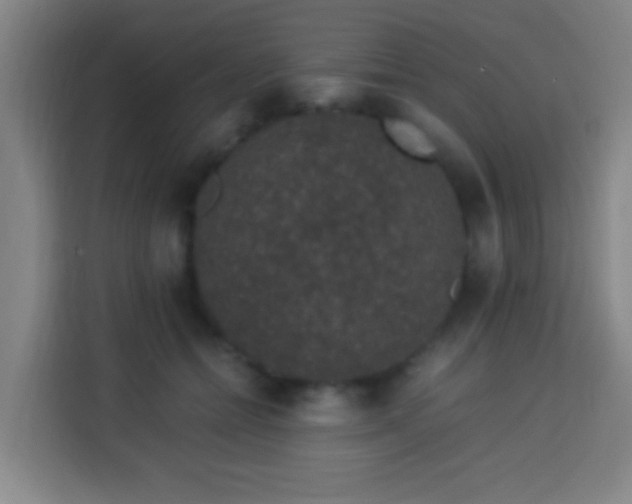 X0000113950558200910021508