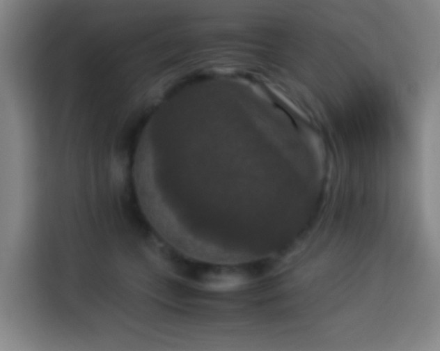 X0000113950559200910021508