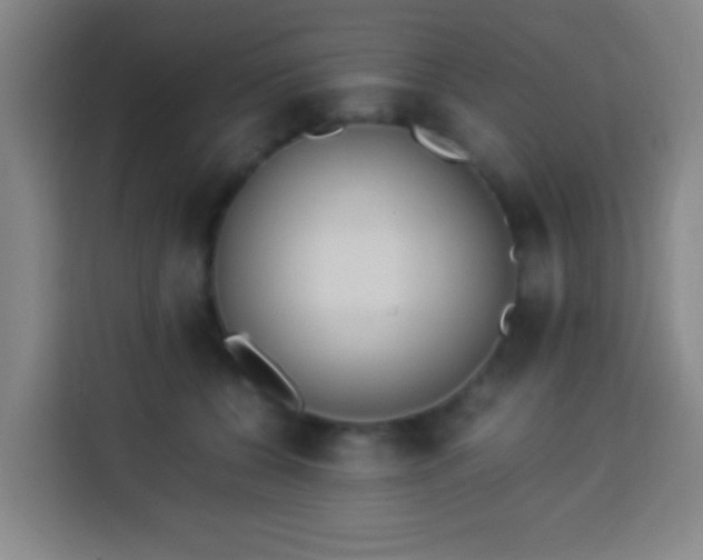 X0000113950560200910021508