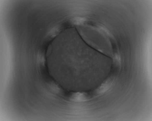 X0000113950566200910021508