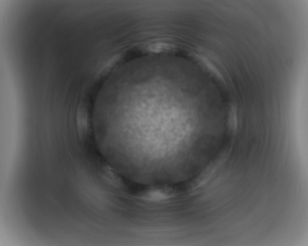 X0000113950569200910021508