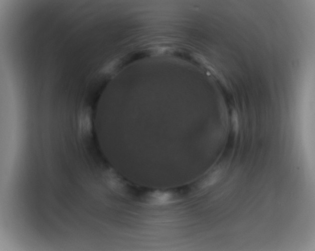 X0000113950570200910021508