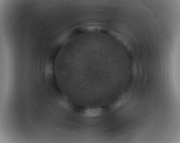 X0000113950571200910021508