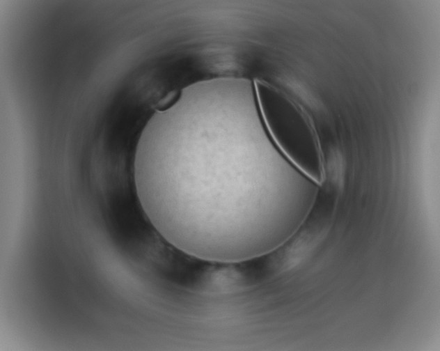 X0000113950572200910021508