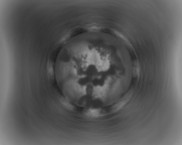 X0000113950573200910021508