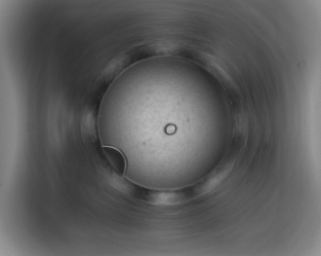 X0000113950575200910021508