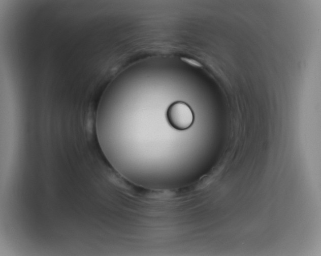 X0000113950576200910021508