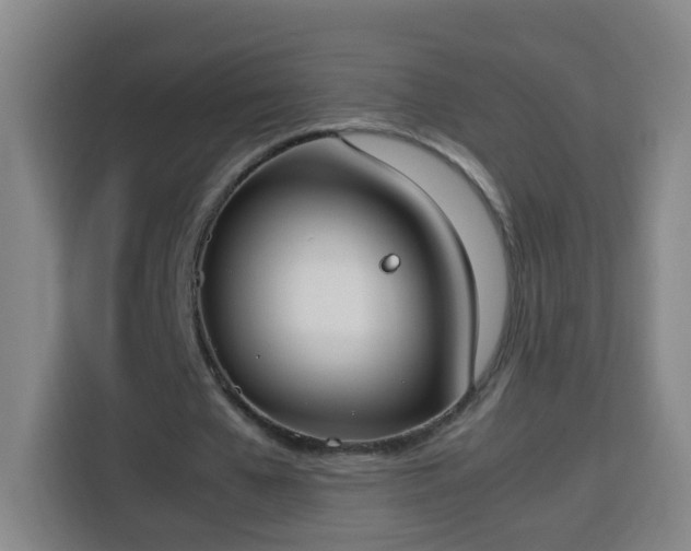 X0000113950577200910021507