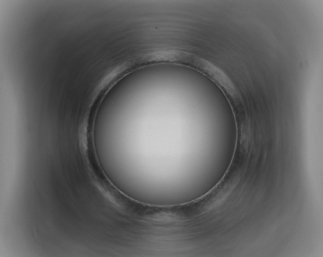 X0000113950578200910021507