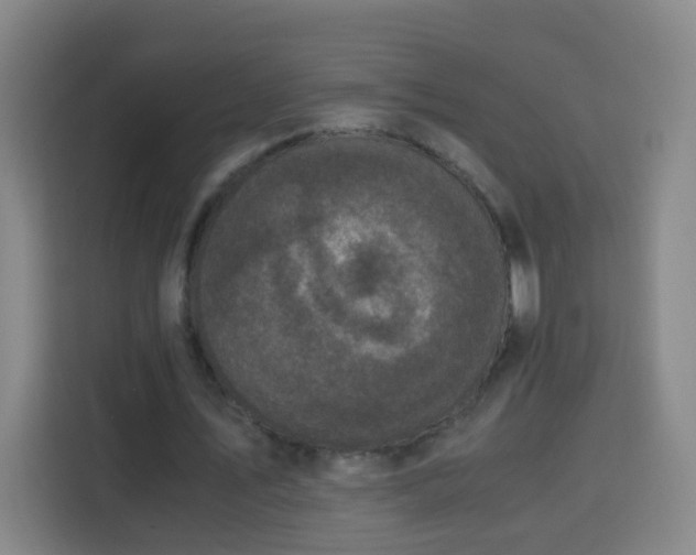 X0000113950579200910021507