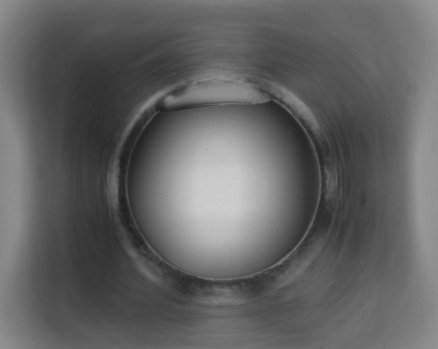 X0000113950580200910021507