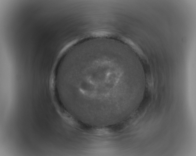 X0000113950583200910021507