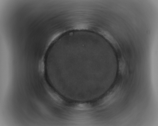 X0000113950584200910021507