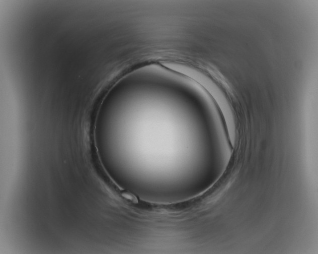 X0000113950585200910021507