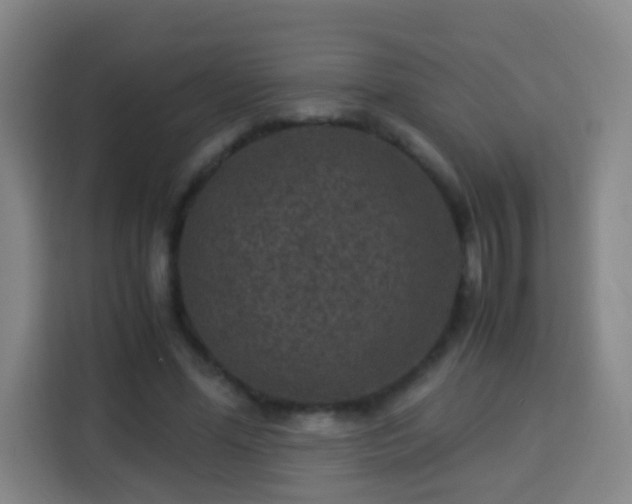 X0000113950588200910021507