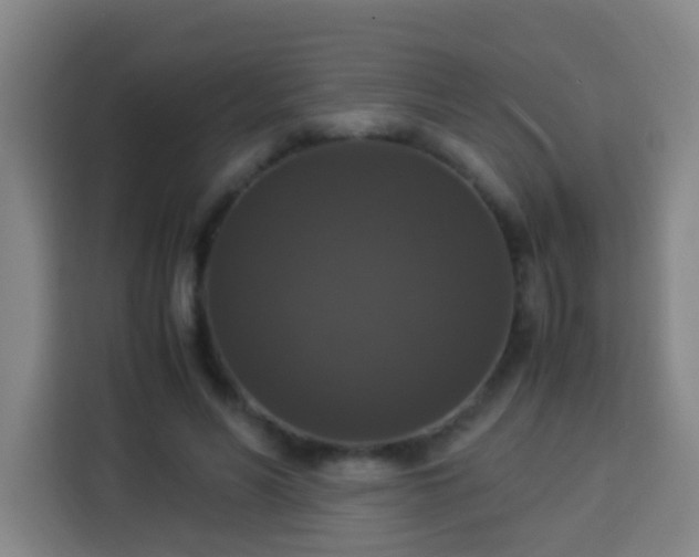 X0000113950590200910021507