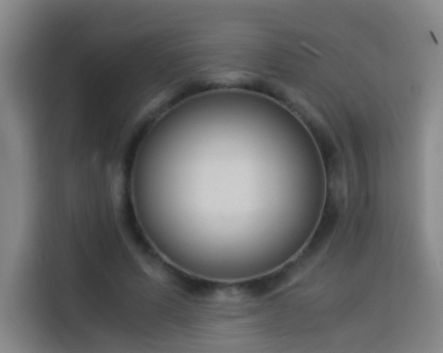 X0000113950591200910021507