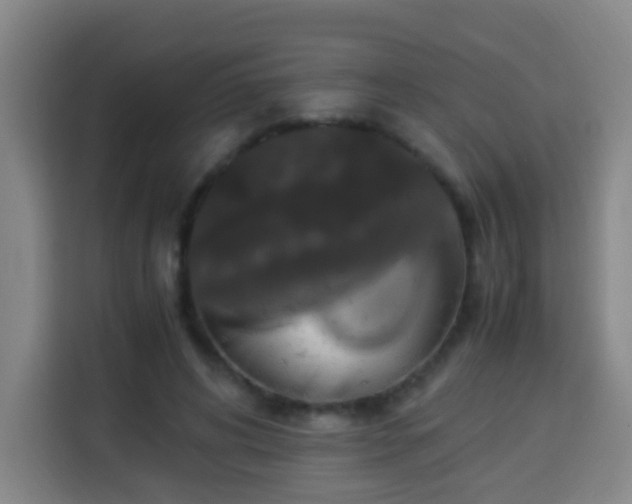 X0000113950592200910021507