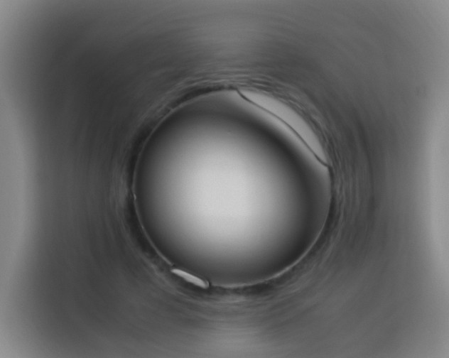 X0000113950593200910021507