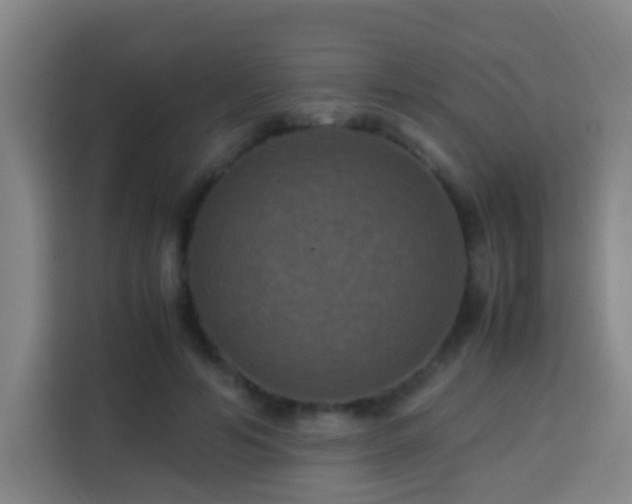 X0000113950594200910021507