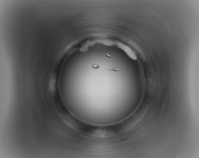 X0000113950596200910021507
