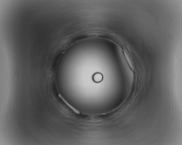X0000113950601200910021507