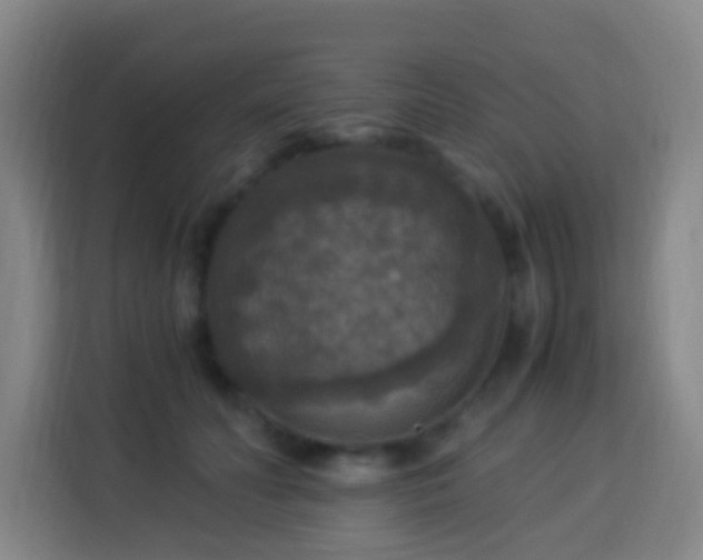 X0000113950606200910021507