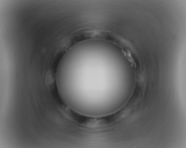 X0000113950607200910021507