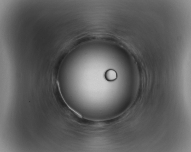 X0000113950609200910021507