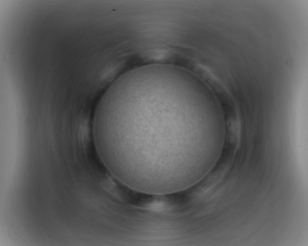 X0000113950612200910021507