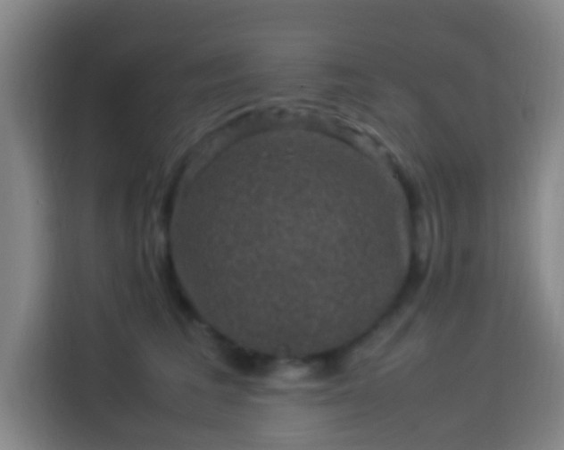 X0000113950613200910021507