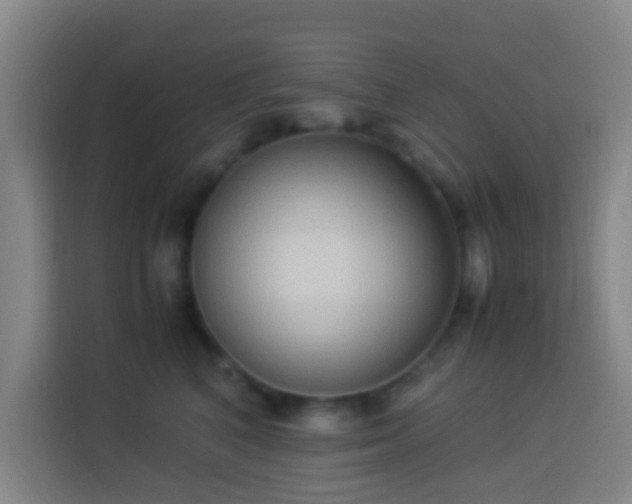 X0000113950616200910021507