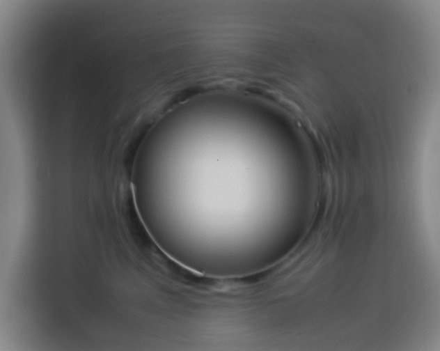 X0000113950617200910021507
