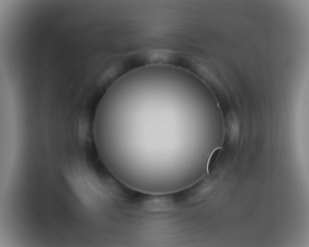 X0000113950619200910021507