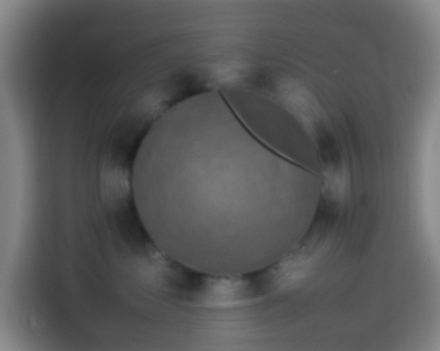 X0000113950621200910021507