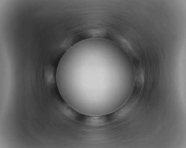 X0000113950622200910021507