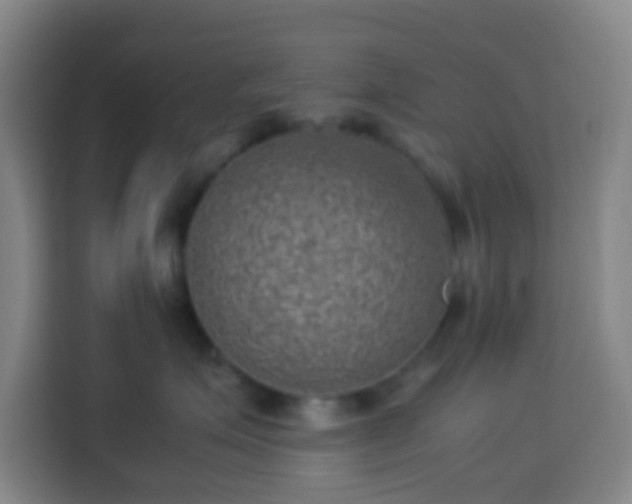 X0000113950623200910021507