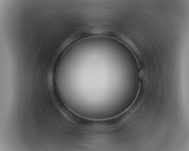 X0000113950626200910021506