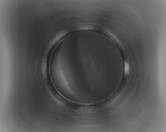 X0000113950627200910021506