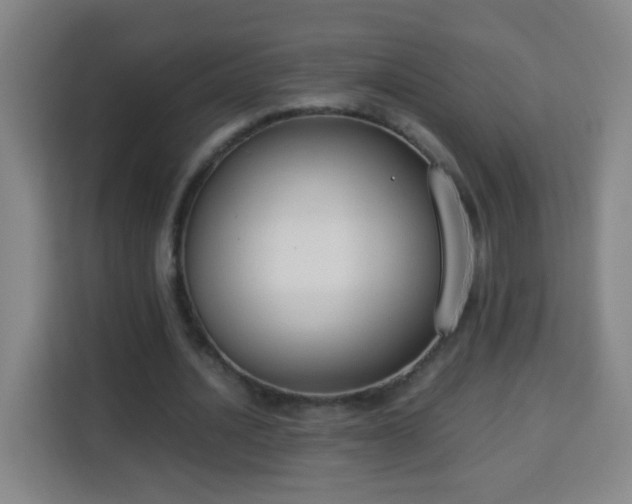 X0000113950628200910021506