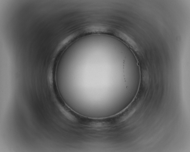 X0000113950629200910021506