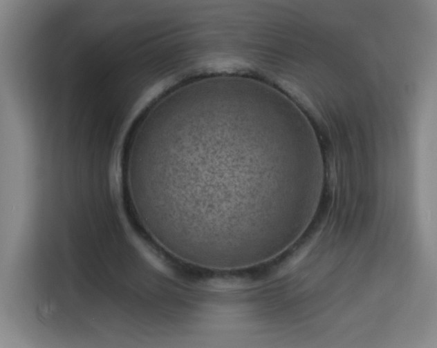 X0000113950630200910021506
