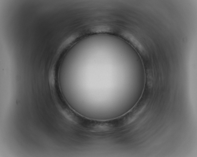 X0000113950631200910021506