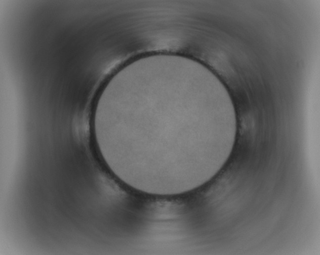X0000113950632200910021506