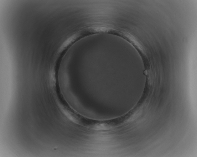 X0000113950634200910021506
