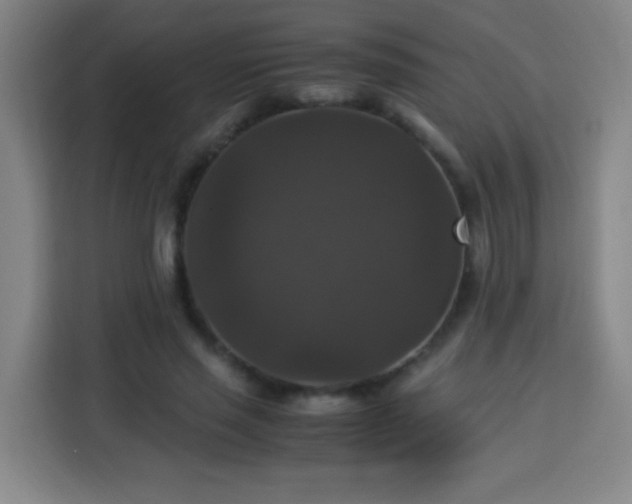 X0000113950637200910021506
