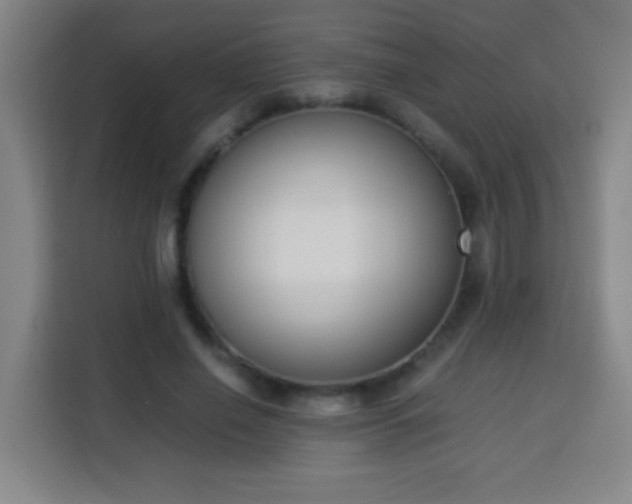 X0000113950638200910021506