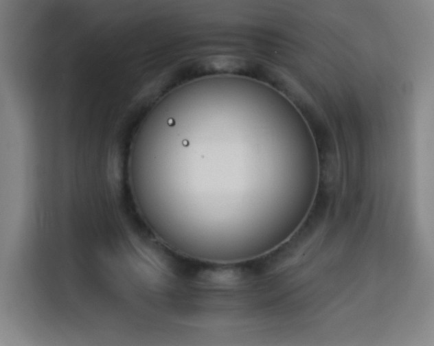 X0000113950639200910021506