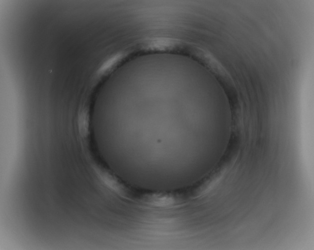X0000113950640200910021506