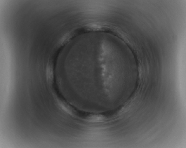 X0000113950642200910021506